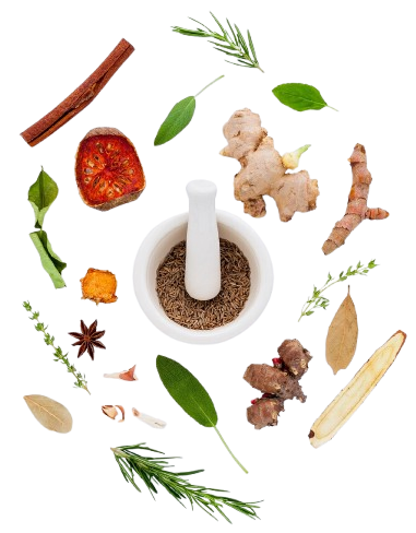 Organic Collection