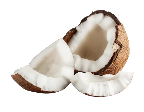 Coconut