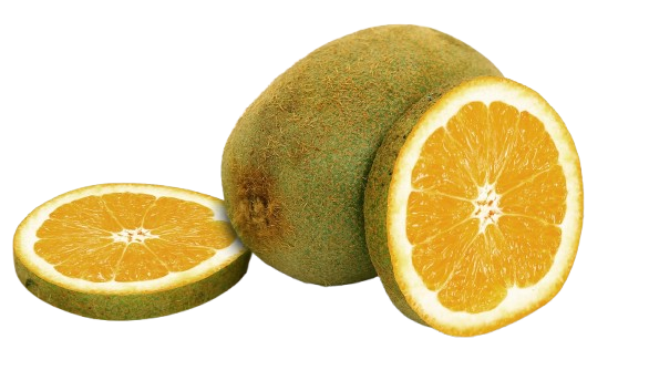 Kiwi