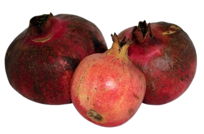 Pomegranate