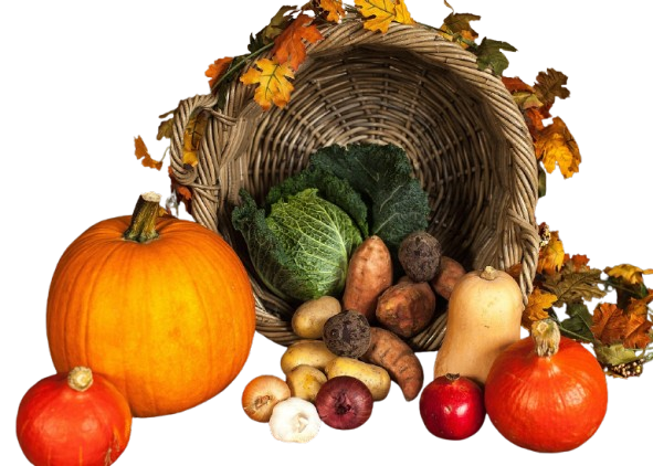 Vegetables